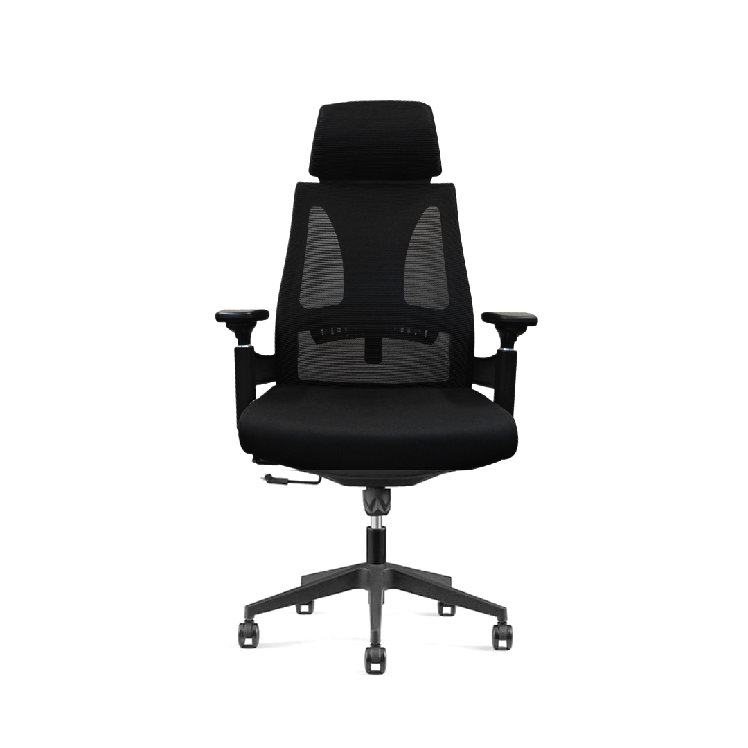 Ergonomic Chair|7027A