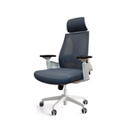 Ergonomic Chair|7027A