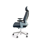 Ergonomic Chair|7027A