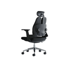 Ergon Comfort Chair|7025